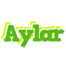 Aylar picnic logo