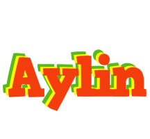 Aylin bbq logo