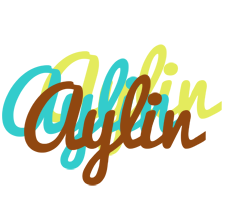 Aylin cupcake logo