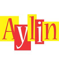 Aylin errors logo