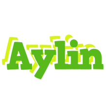 Aylin picnic logo