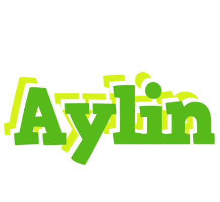 Aylin picnic logo