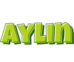 Aylin summer logo