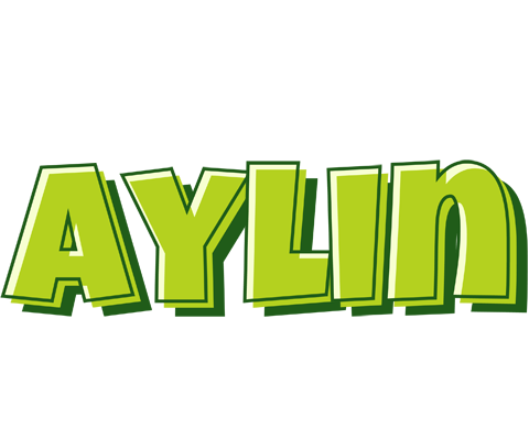 Aylin summer logo