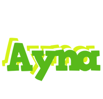 Ayna picnic logo