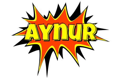 Aynur bazinga logo