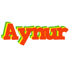 Aynur bbq logo