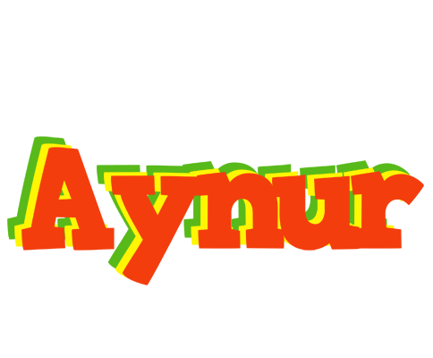 Aynur bbq logo