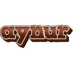 Aynur brownie logo