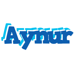 Aynur business logo