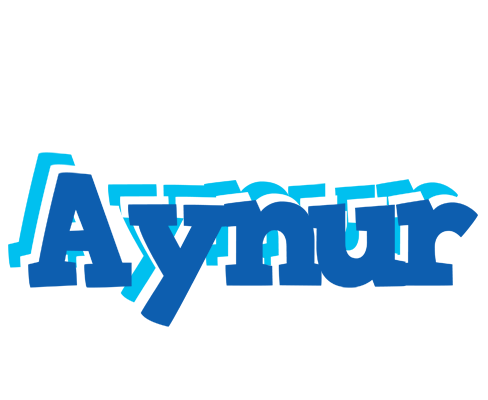 Aynur business logo
