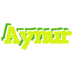 Aynur citrus logo