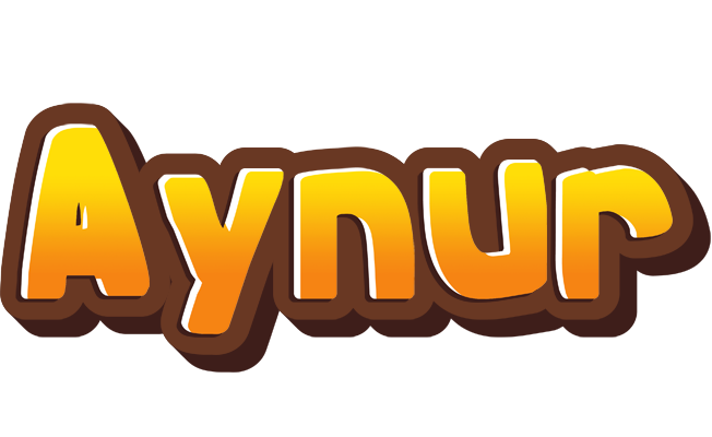 Aynur cookies logo