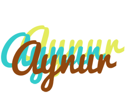 Aynur cupcake logo