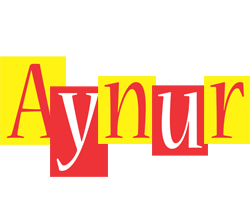 Aynur errors logo