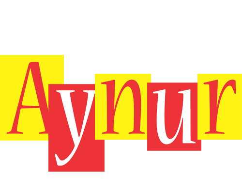 Aynur errors logo