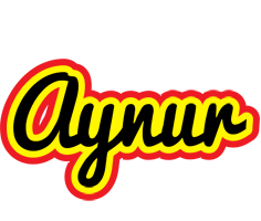 Aynur flaming logo