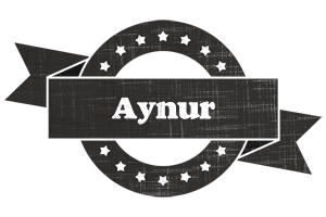 Aynur grunge logo