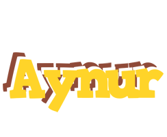 Aynur hotcup logo