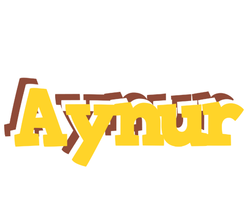 Aynur hotcup logo