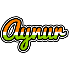 Aynur mumbai logo