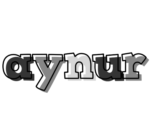 Aynur night logo