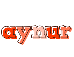 Aynur paint logo