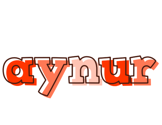 Aynur paint logo