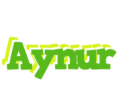 Aynur picnic logo