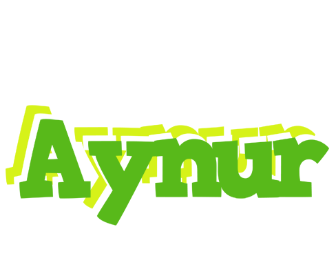 Aynur picnic logo