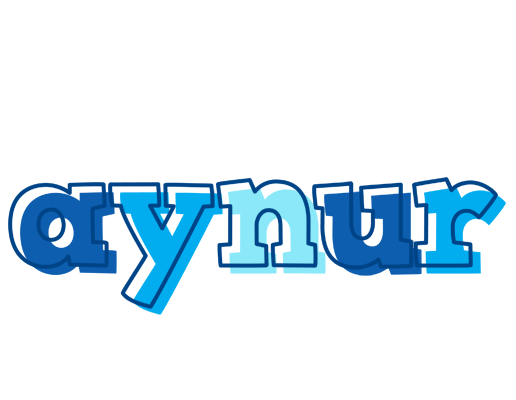 Aynur sailor logo