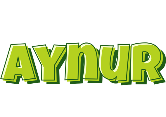 Aynur summer logo