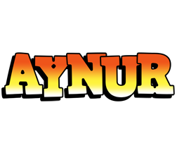 Aynur sunset logo