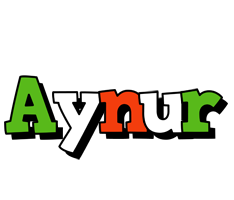 Aynur venezia logo