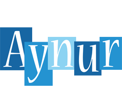 Aynur winter logo