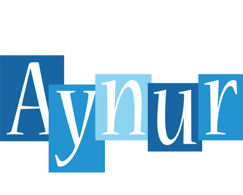 Aynur winter logo