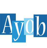 Ayob winter logo