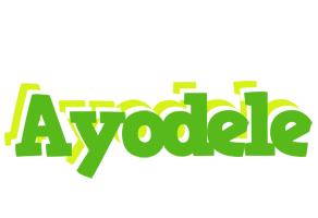 Ayodele picnic logo