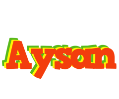 Aysan bbq logo