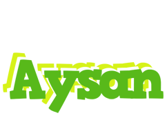 Aysan picnic logo