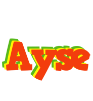 Ayse bbq logo