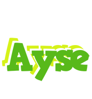 Ayse picnic logo