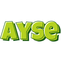 Ayse summer logo