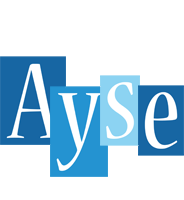 Ayse winter logo