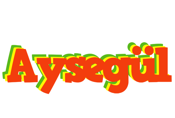 Aysegül bbq logo