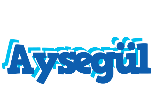 Aysegül business logo