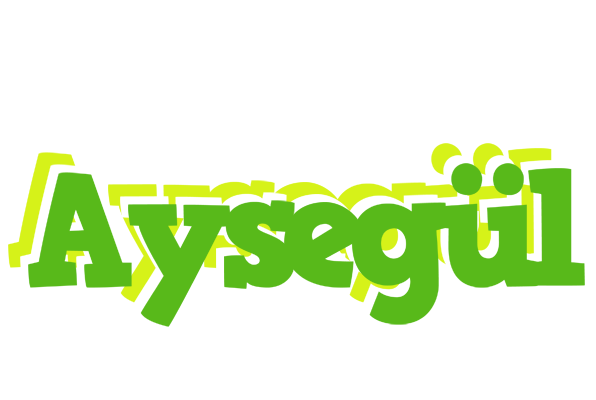 Aysegül picnic logo