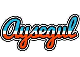 Aysegul america logo