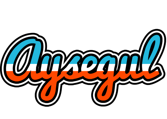 Aysegul america logo