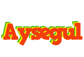 Aysegul bbq logo